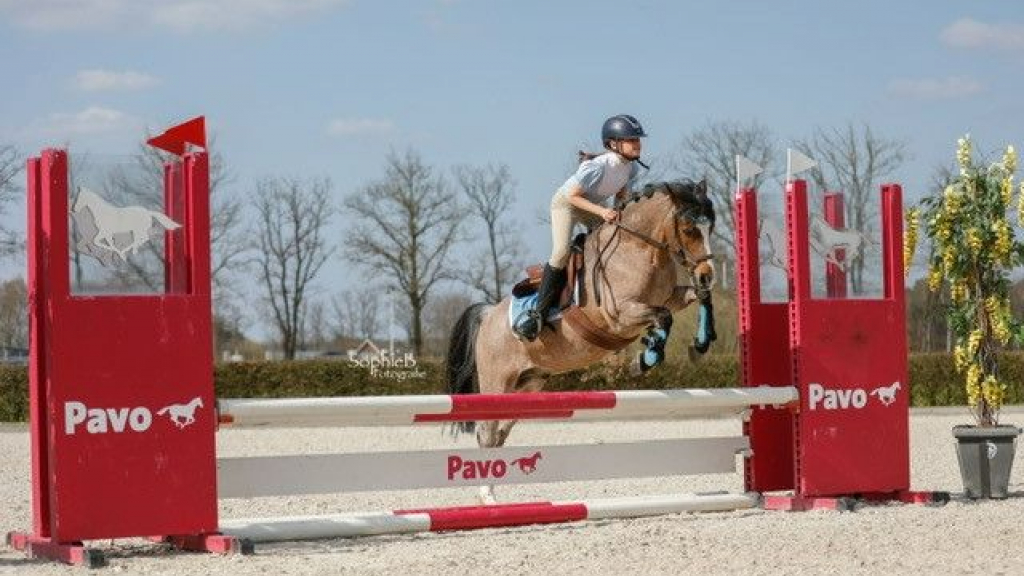 Foto: 1e en 2e prijs voor Sterre & Bumble