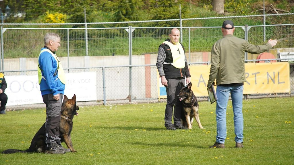 Foto: VDH Oldebroek organiseert het Provinciaal Africhtings Kampioenschap Gelderland