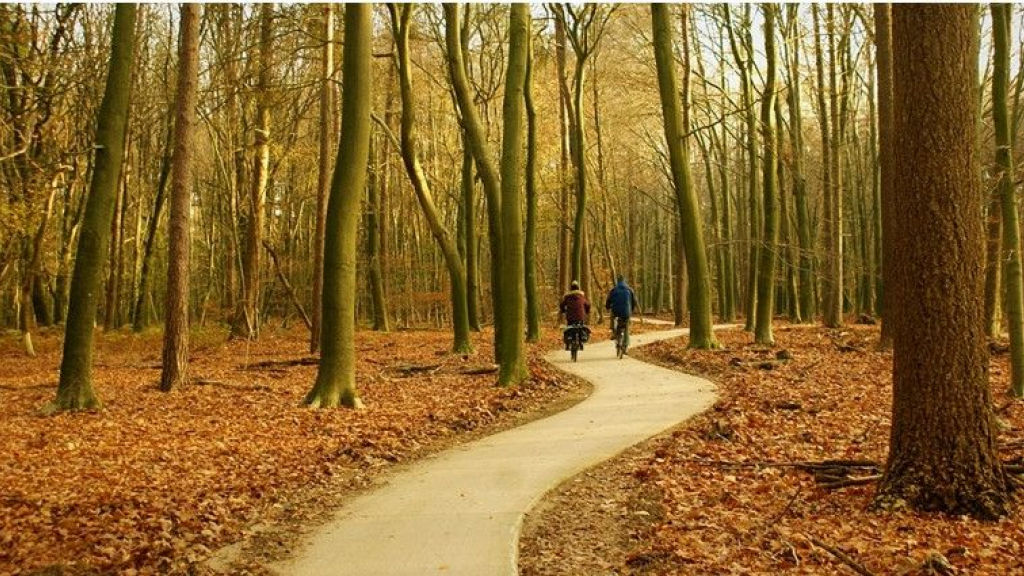 Foto: Leuke vakantie ideeën voor iedere doelgroep