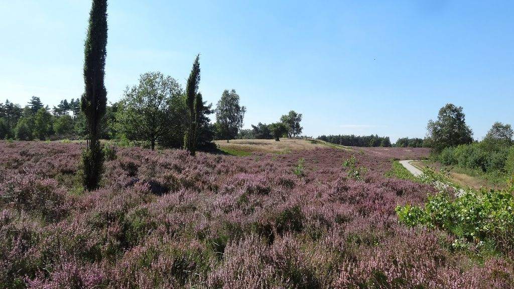 Foto: Ontwerp gewijzigd Natuurbeheerplan 2023 voor 2024 ter inzage
