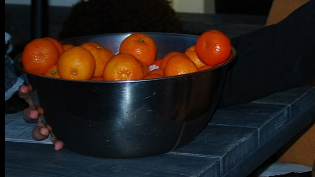 Foto: Sinaasappel- en mandarijnenactie 2023 jeugd VSCO’61