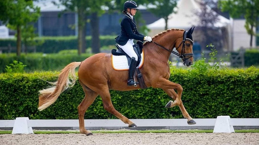 Foto: Top prestaties van Kyra Jonkers en Kimberly Pap tijdens NK