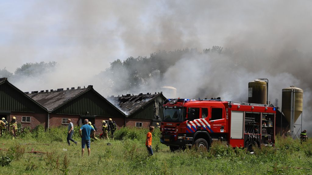 Foto: 'Het was echt verschrikkelijk', campinggasten helpen kalveren vangen na brand