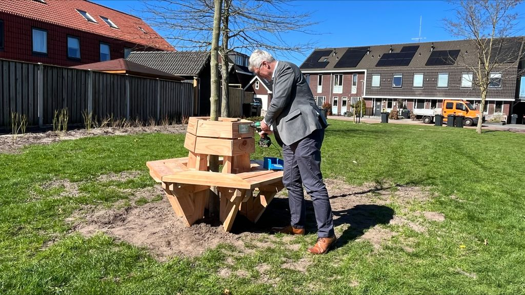 Foto: Boom met bankje geplaatst bij speeltuin Colijnhof