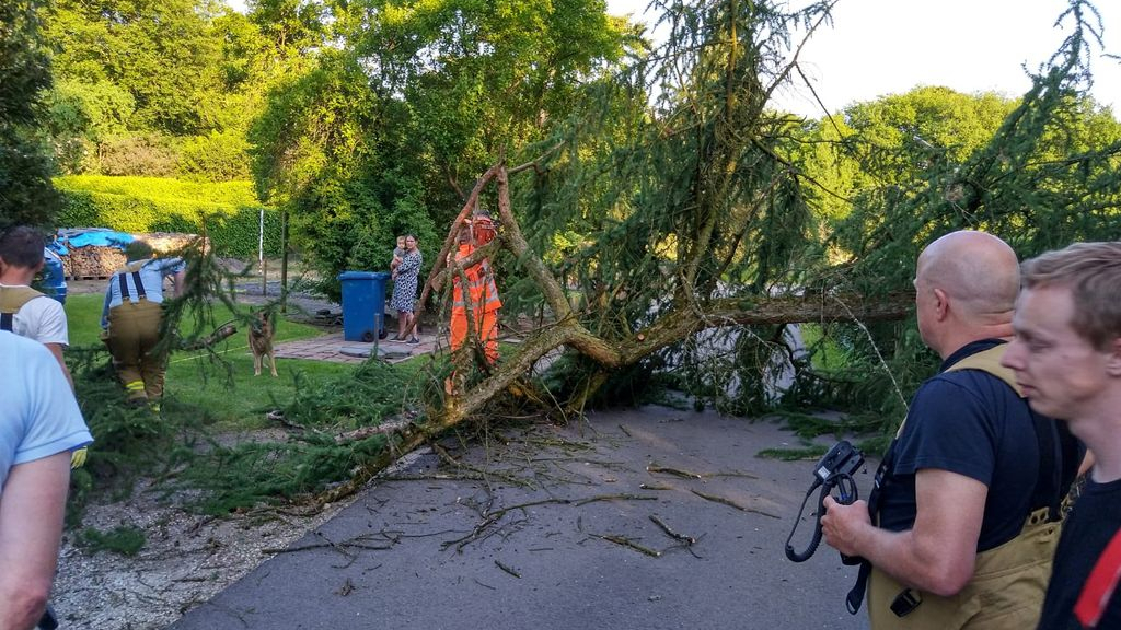 Foto: Boom valt om in Uddel en raakt bijna auto