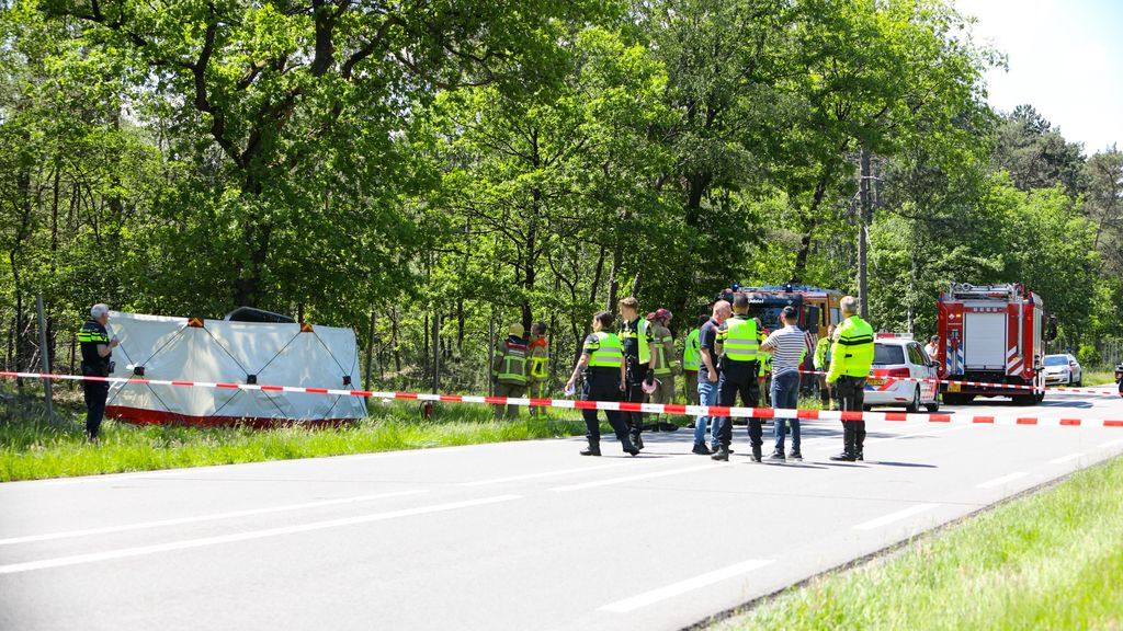 Foto: Automobilist overleden na frontale botsing tegen boom bij Uddel