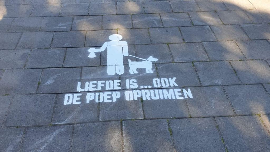 Foto: Nieuwe boodschap voor hondenbezitters