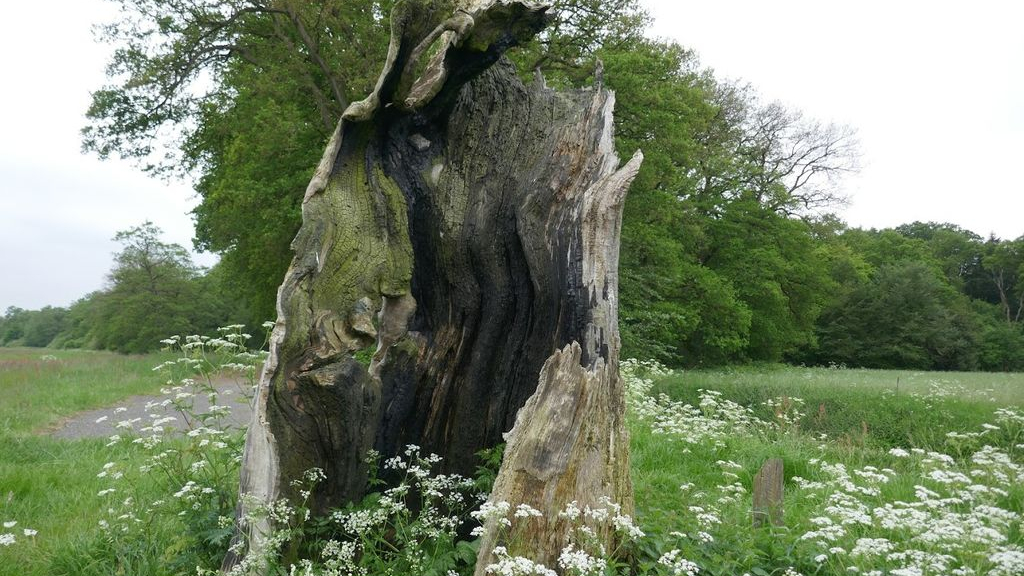 Foto: Bewustzijnsontwikkeling, een andere kijk