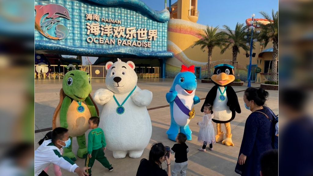 Foto: Kritiek op Dolfinarium: meerdere dolfijnen en zeeleeuwen verkocht aan 'Chinees pretpark'