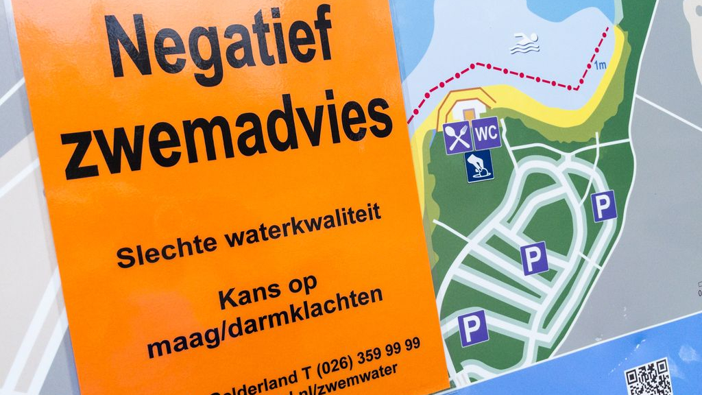 Foto: Poepbacterie in het zwemwater: op deze plekken komt het regelmatig voor