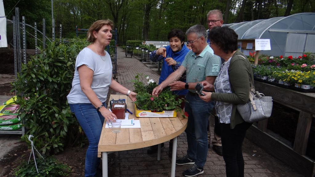 Foto: Weer volop plantjes te koop bij ‘de Stek’