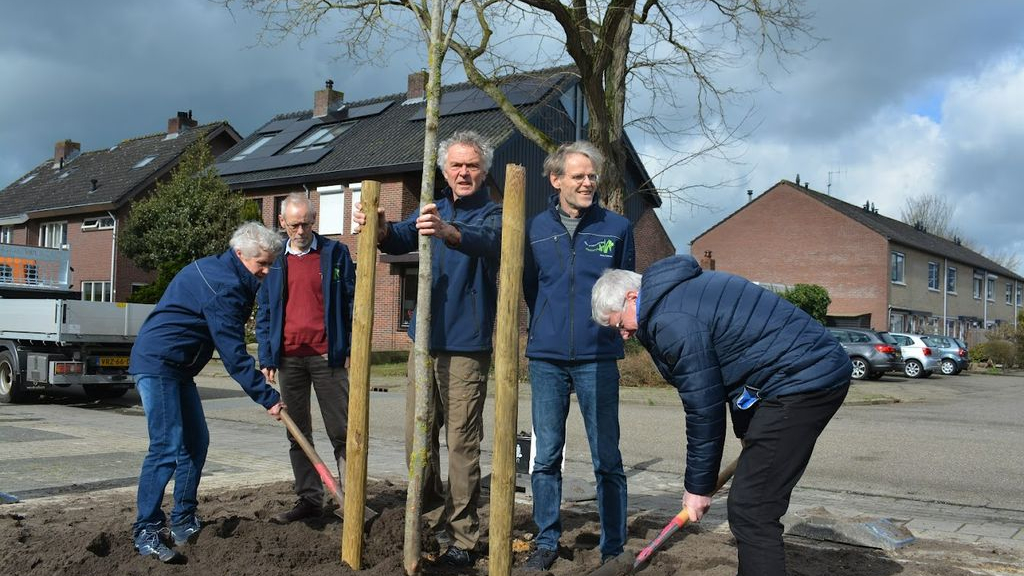 Foto: Groentje en wethouder planten bomen