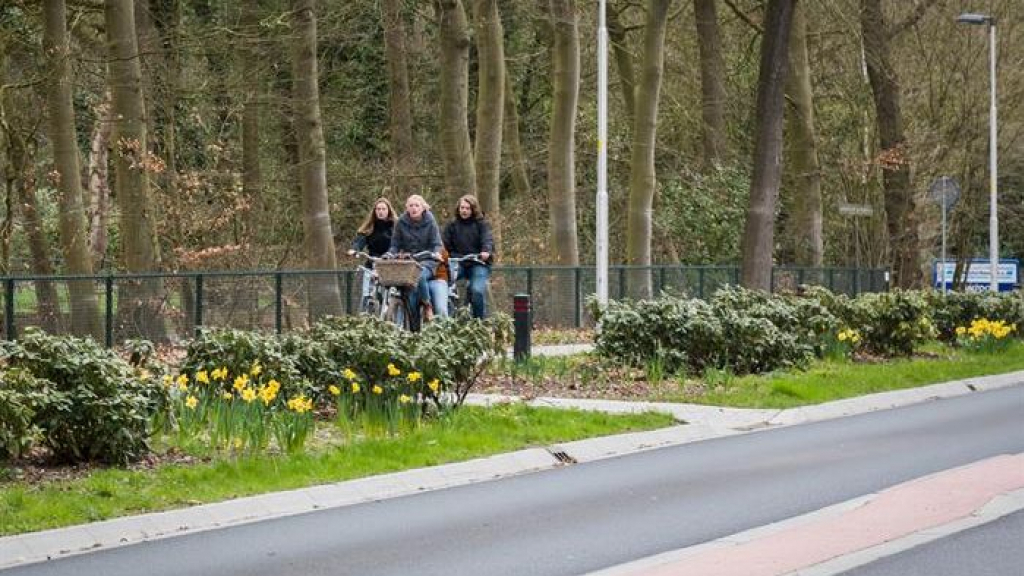 Foto: Groot onderhoud aan de N794 in Epe