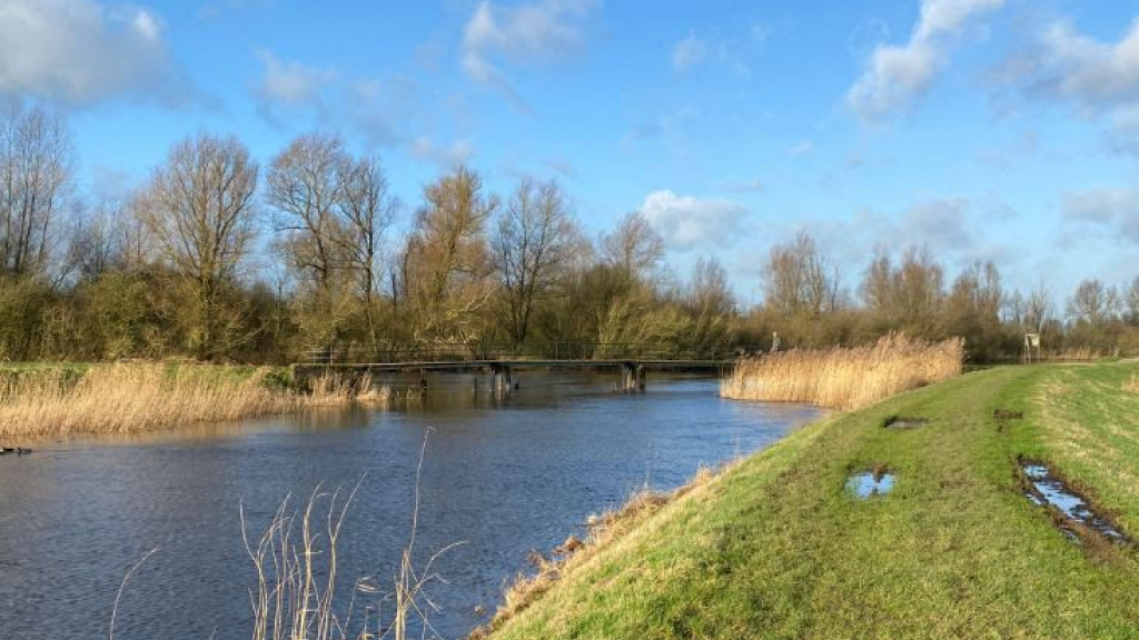 Foto: Stiltewandeling in Hattem in het Hanzejaar