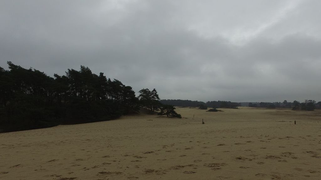 Foto: Livestream bijeenkomst over natuur en recreatie Hulshorster-Beekhuizerzand