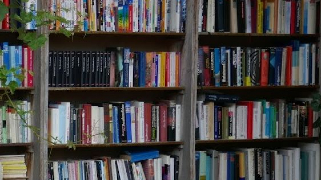 Foto: Tien boekentips voor kinderen met gescheiden ouders