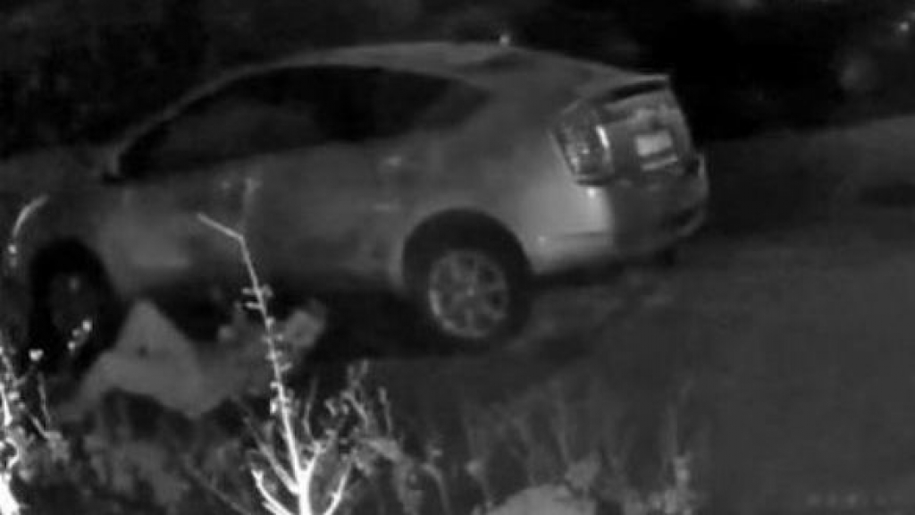 Foto: Achtervolging in Harderwijk na diefstal
