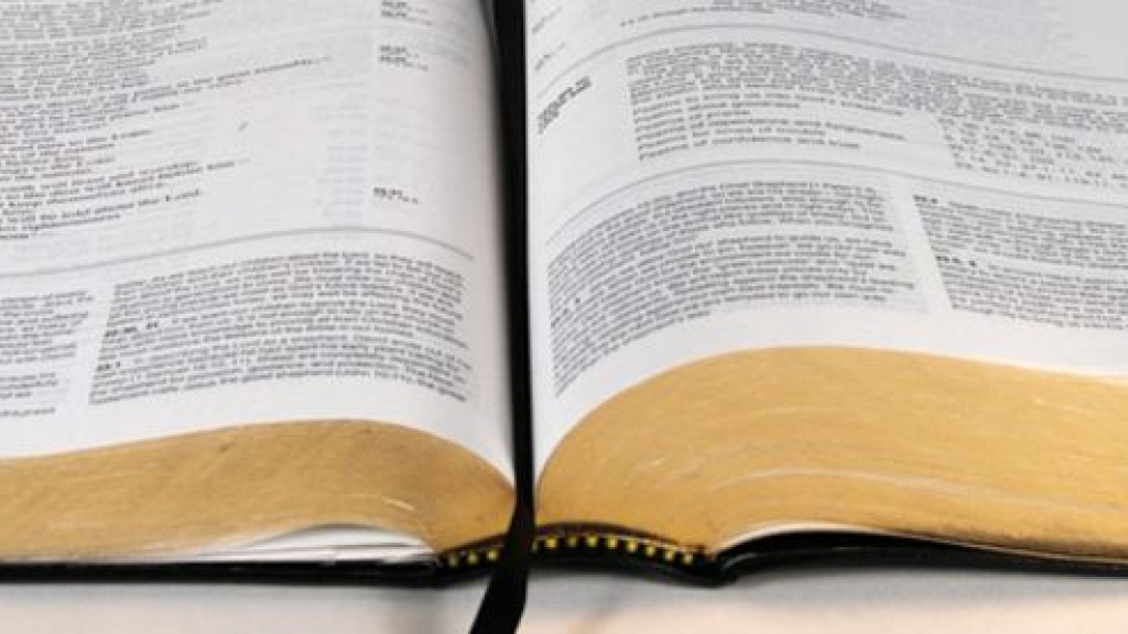Foto: Bijbelstudies in Thornspic