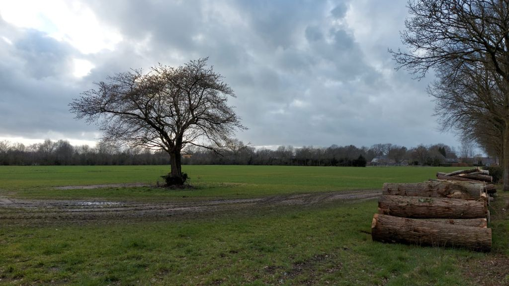 Foto: Geen zorgwoningen op locatie De Kijktuinen