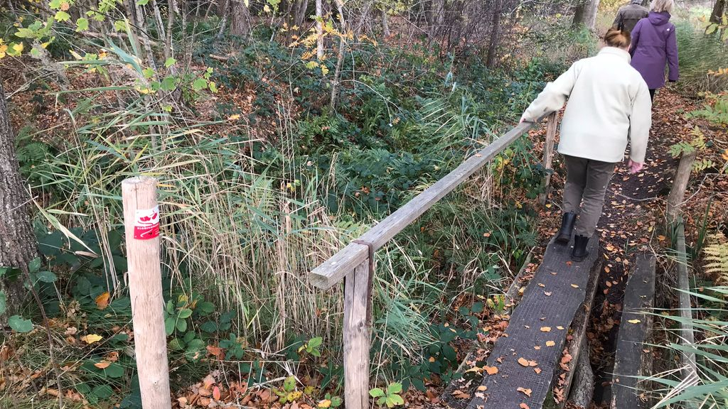 Foto: Wie doet mee met De Kunststreken in Oldebroek?