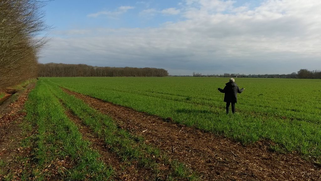 Foto: Drones ingezet bij zoektocht naar weggelopen kalf