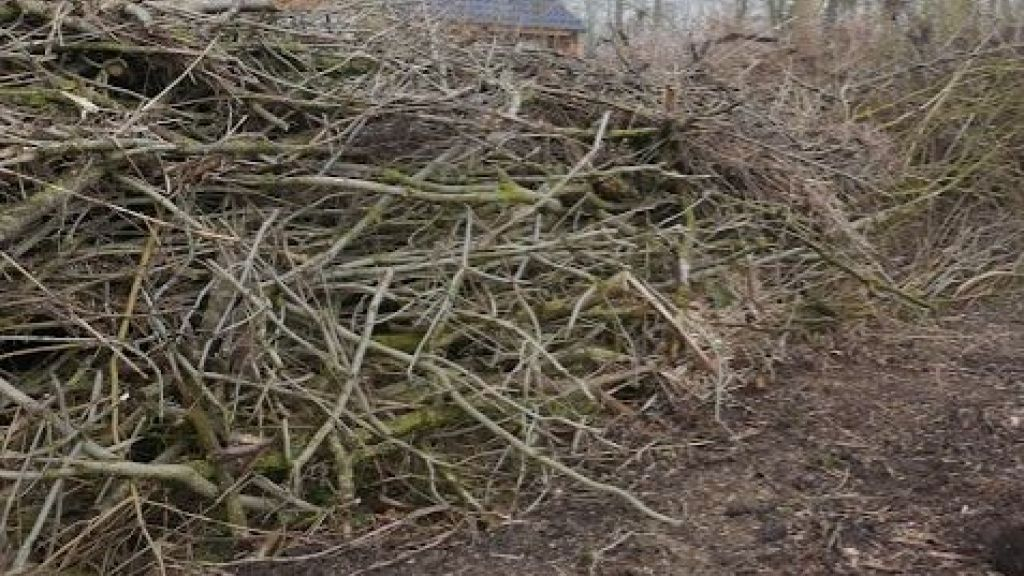 Foto: Snoeihoutactie dinsdag 7 maart 2023