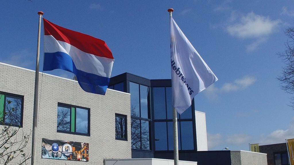 Foto: Bloeiend bedrijf Hellebrekers viert haar 50-jarig jubileum