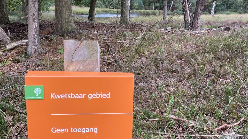 Foto: CDA Nunspeet: “Natuurbeheerders moeten rekening houden met wensen van inwoners”