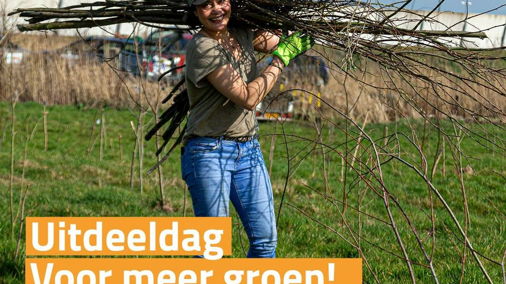 Foto: Kom jij je boom halen?
