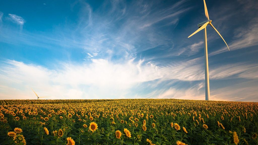 Foto: Meer onderzoek naar alternatieve locaties voor windmolens