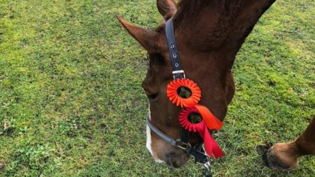 Foto: Quiana Altena wint goud en zilver