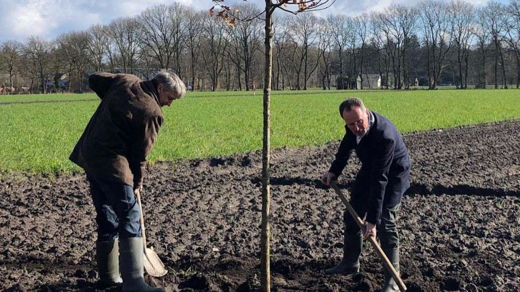 Foto: Bomen geplant voor betere leefomgeving das