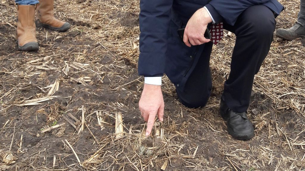 Foto: Eerste Kievitsei gemeente Nunspeet gevonden door Leen Kroneman