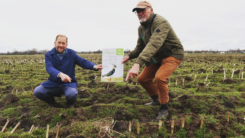 Foto: Ook eerste kievitsei in gemeente Elburg gevonden