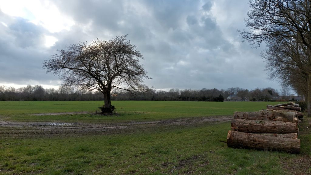 Foto: Gemeente Nunspeet werkt hard aan de woningbouwplannen voor de Kijktuinen