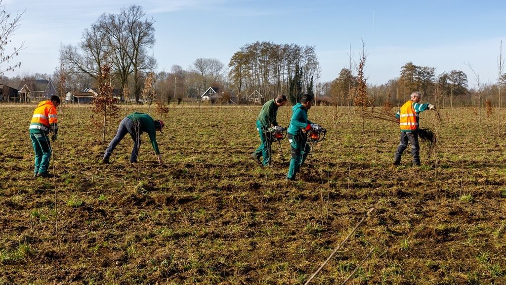 Foto: Eerste hectares nieuw bos in Gelderland liggen bij Epe