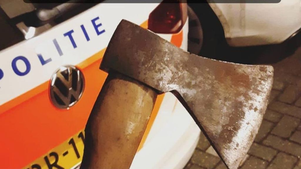 Foto: Stroper betrapt op inladen van omgezaagde bomen