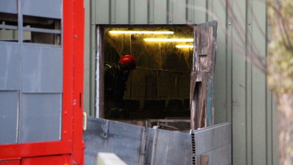 Foto: Tientallen varkens vallen in gierput, meerdere dieren dood