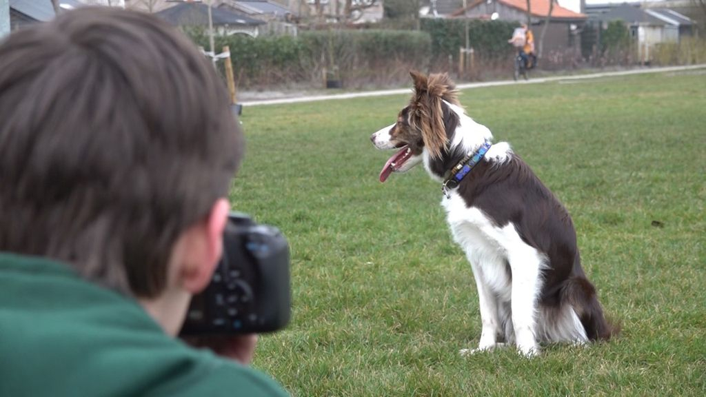 Foto: Het hondje van Joël heeft bijna 10.000 volgers op Instagram