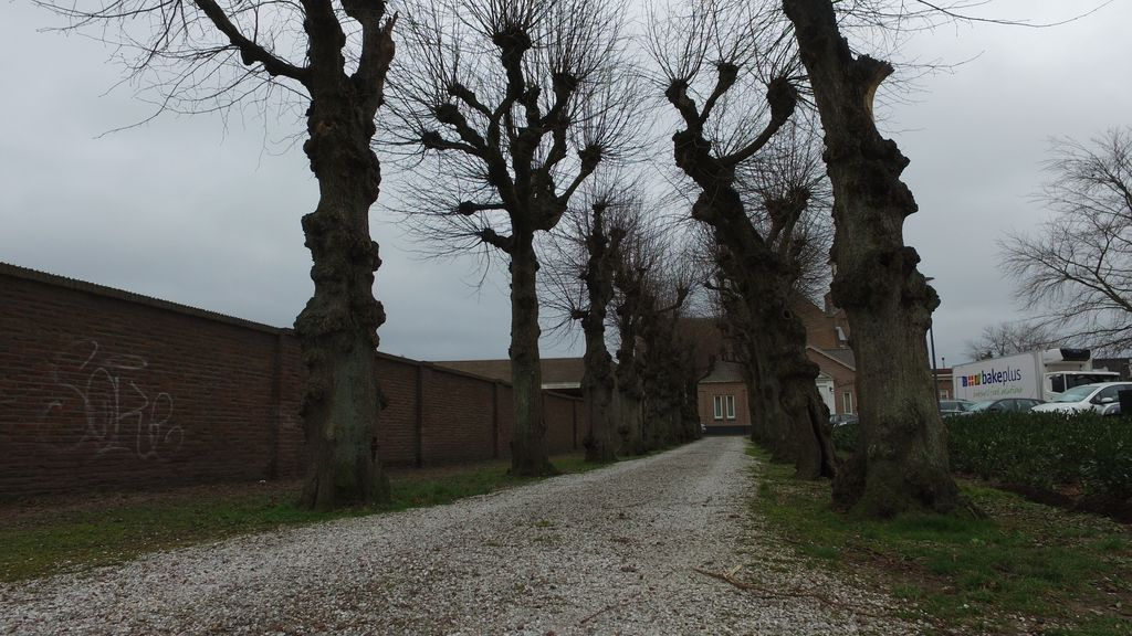 Foto: Hervormde Gemeente Nunspeet wil komen en gaan via Trouwlaantje
