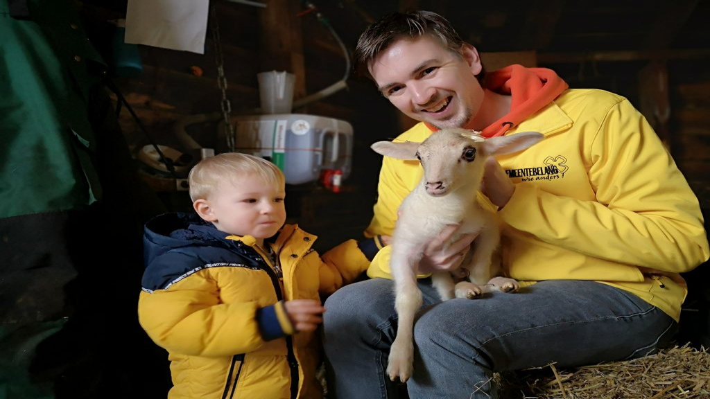 Foto: Gemeentebelang Nunspeet adopteert lammetjes