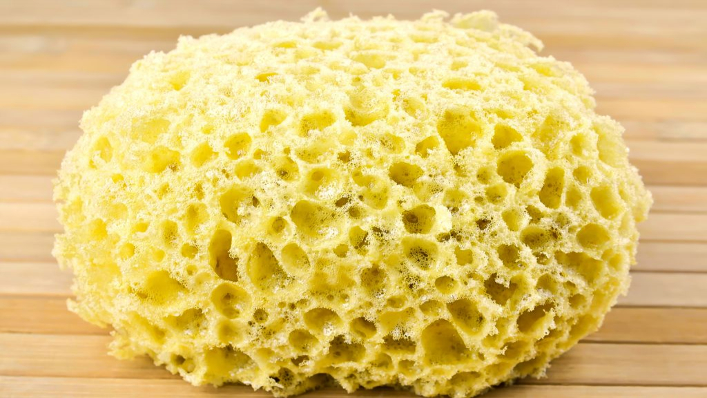 Foto: Gebakken sponzen gevonden