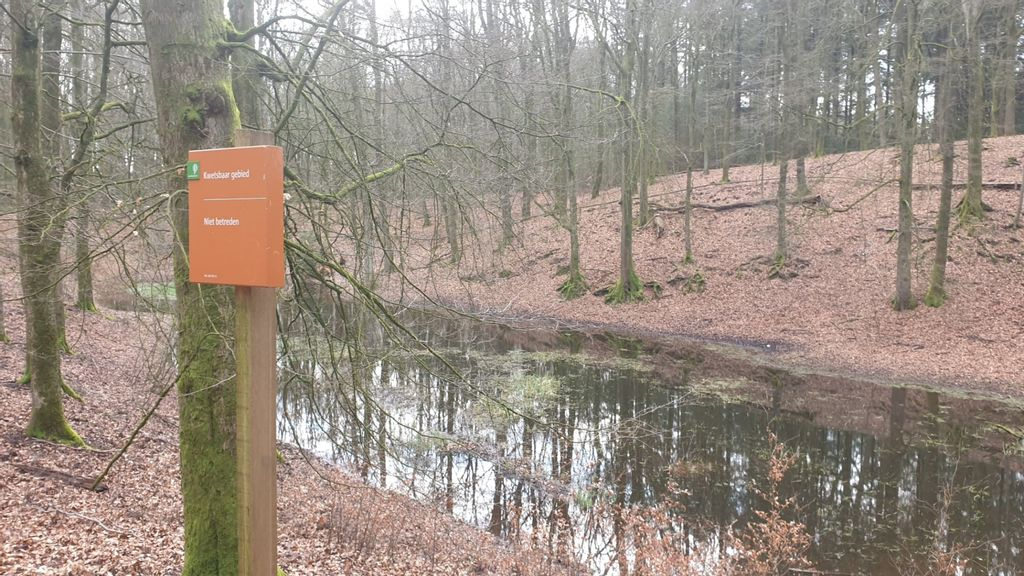 Foto: Provincie Gelderland heeft verregaande plannen voor recreatiezonering