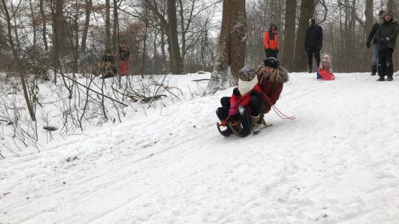 Foto: Positief nieuws: sneeuw, lammetjes, carnaval-speurtocht en een sportpenning