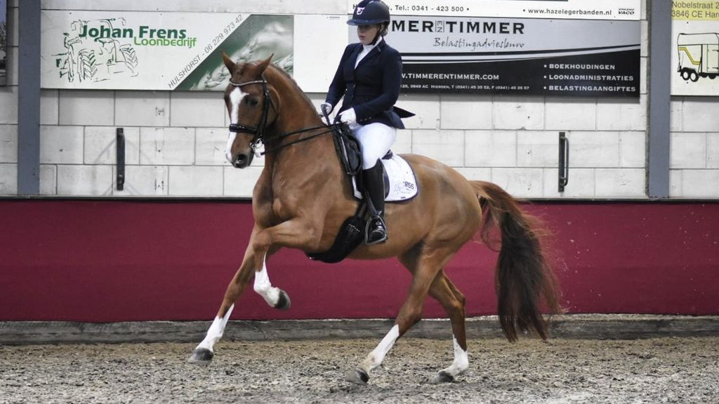 Foto: Laura Spronk Gelders Kampioen Dressuur M2