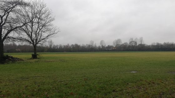Foto: Voorbereidingen voor zonnepanelenveld aan de Kienschulpenweg in volle gang