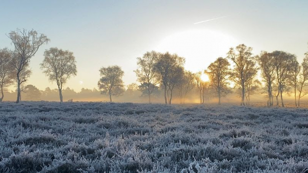 Foto: Weekendweer: rustig en droog winterweer
