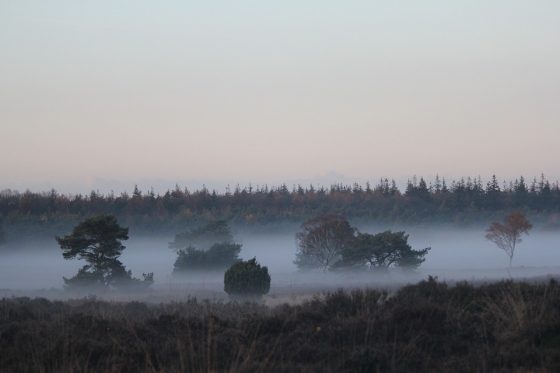 Foto: Gemeentebelang Nunspeet: stop met afsluiten Veluwe