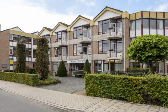 Foto: Lichtpuntjes na zware periode Mariposa ‘t Harde