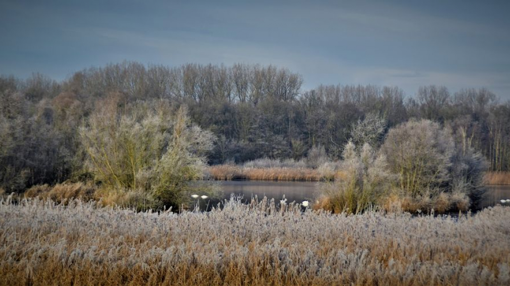 Foto: Zo winters wordt het deze week